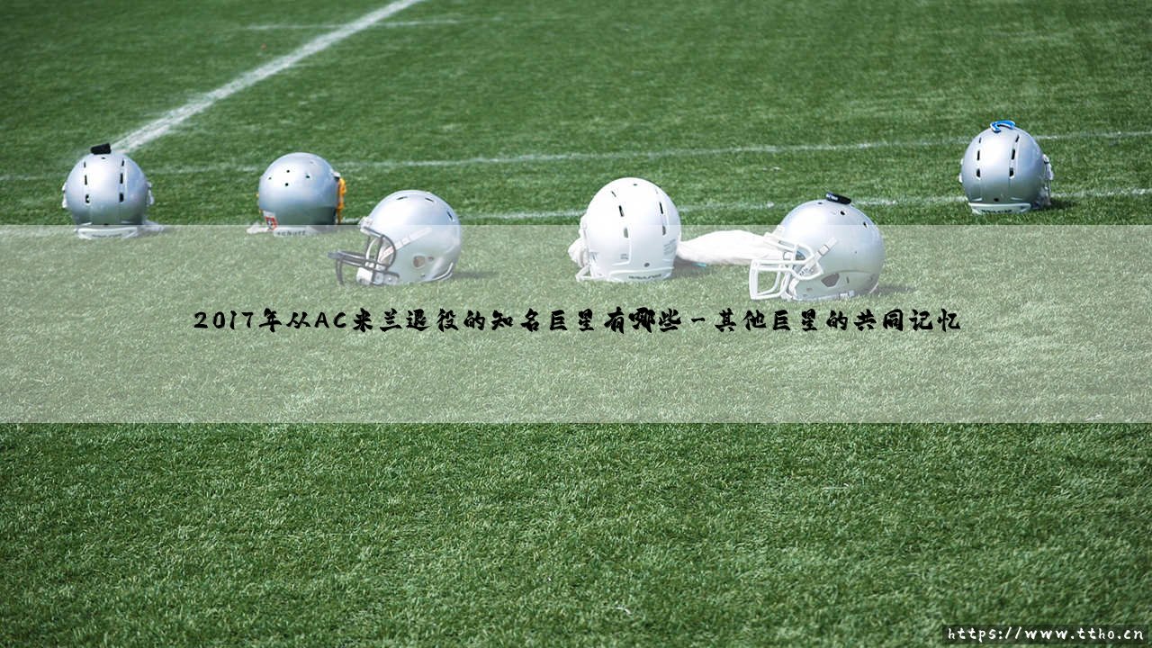 2017年从AC米兰退役的知名巨星传奇回顾-第3张图片-天体号