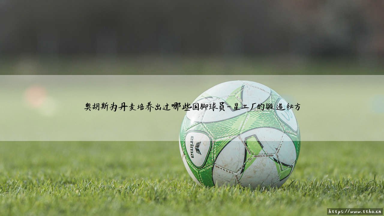 奥胡斯绿茵传奇:丹麦国脚摇篮奥胡斯的辉煌传承-第4张图片-天体号 奥胡斯绿茵传奇:丹麦国脚摇篮奥胡斯的辉煌传承-第4张图片-天体号