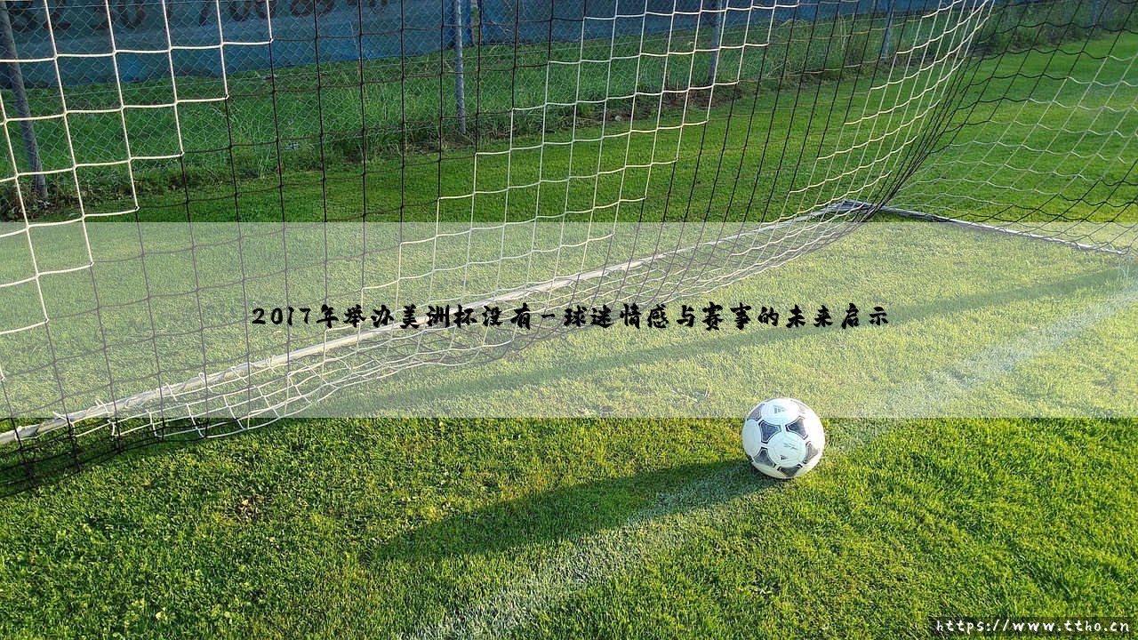 2017年没有举办美洲杯：一场赛事的空白与背后的故事-第3张图片-天体号