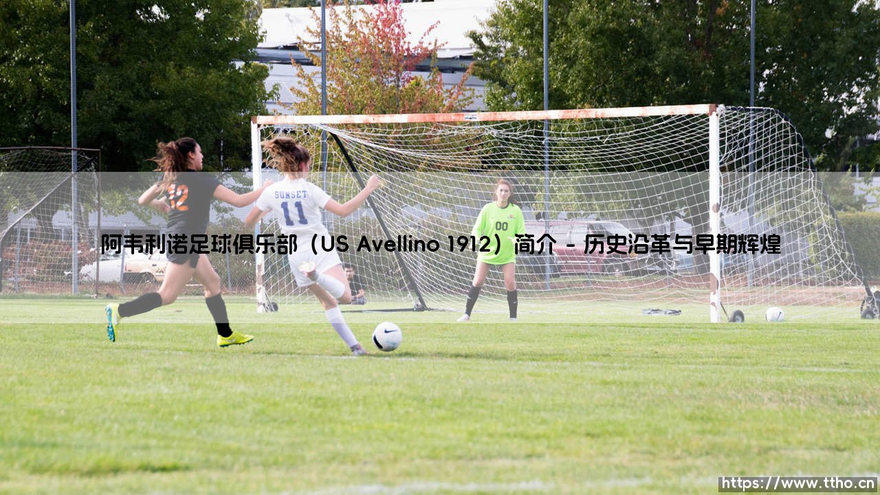 阿韦利诺足球俱乐部（US Avellino 1912）简介介绍-第1张图片-天体号