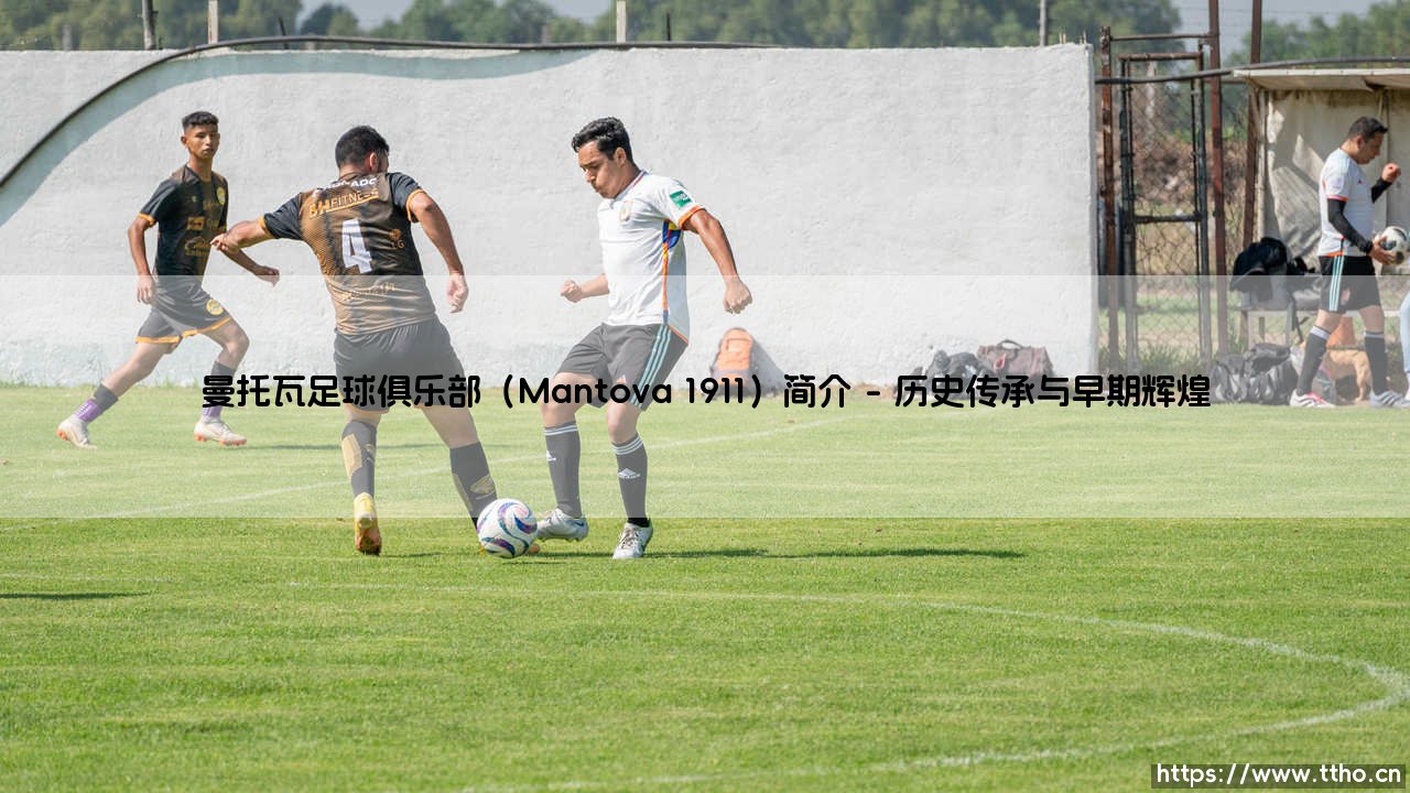 曼托瓦足球俱乐部(Mantova 1911)简介攻略-第1张图片-天体号 曼托瓦足球俱乐部(Mantova 1911)简介攻略-第1张图片-天体号