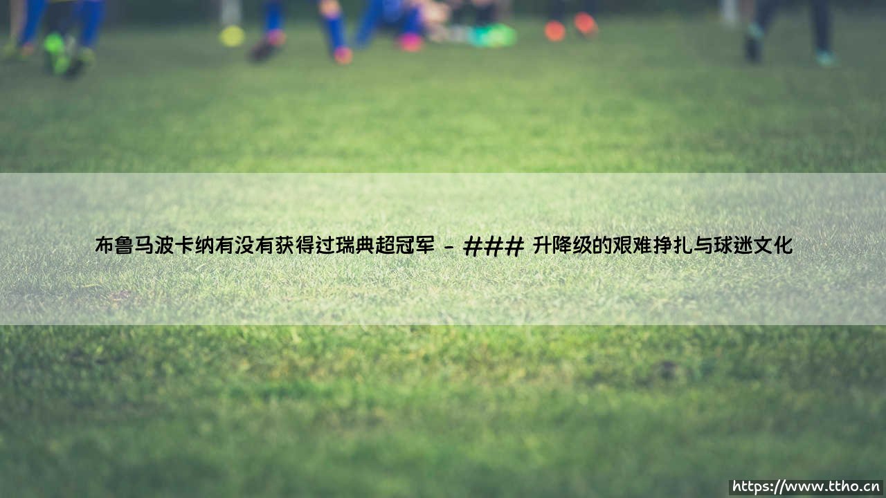 布鲁马波卡纳的瑞典超冠军之路:梦想与现实的距离-第2张图片-天体号 布鲁马波卡纳的瑞典超冠军之路:梦想与现实的距离-第2张图片-天体号