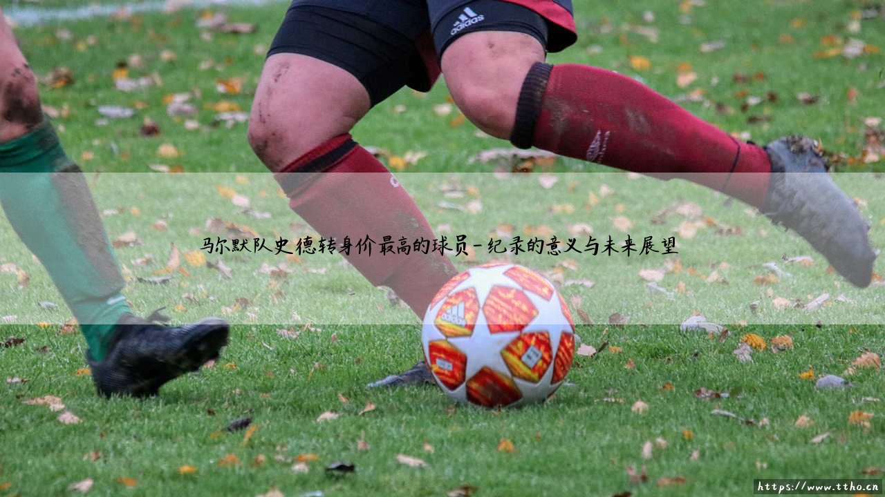 谁是马尔默队史德转身价最高的球员?揭秘「天价巨星」的传奇之路-第4张图片-天体号 谁是马尔默队史德转身价最高的球员?揭秘「天价巨星」的传奇之路-第4张图片-天体号