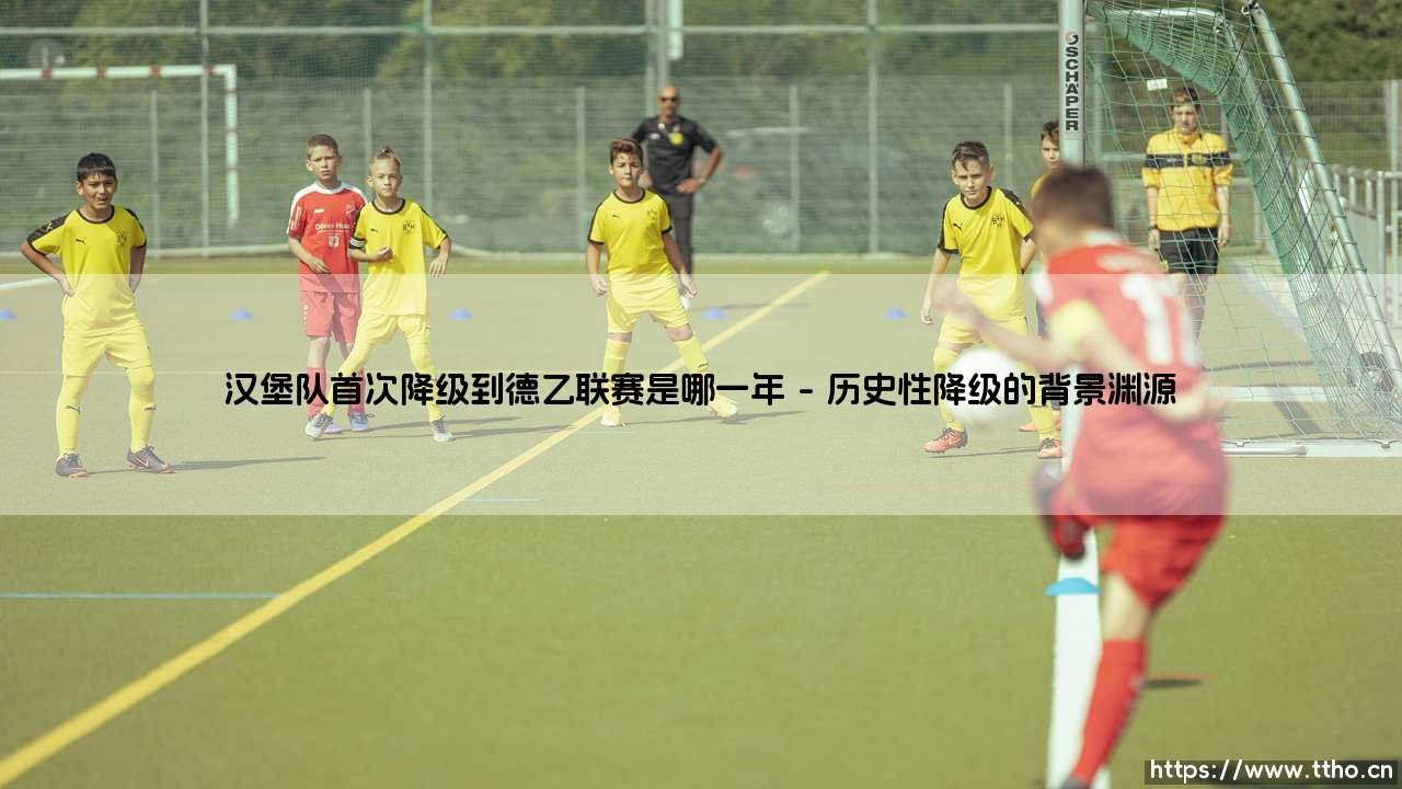 汉堡队降级德乙之年:一段令球迷心碎的往事-第1张图片-天体号 汉堡队降级德乙之年:一段令球迷心碎的往事-第1张图片-天体号