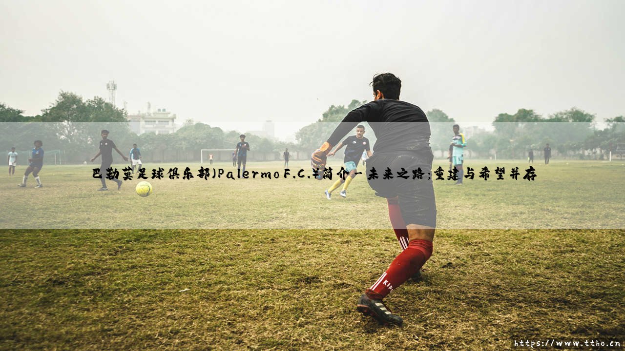巴勒莫足球俱乐部(Palermo F.C.)简介:西西里岛的骄傲,足球的悲喜传奇-第3张图片-天体号 巴勒莫足球俱乐部(Palermo F.C.)简介:西西里岛的骄傲,足球的悲喜传奇-第3张图片-天体号
