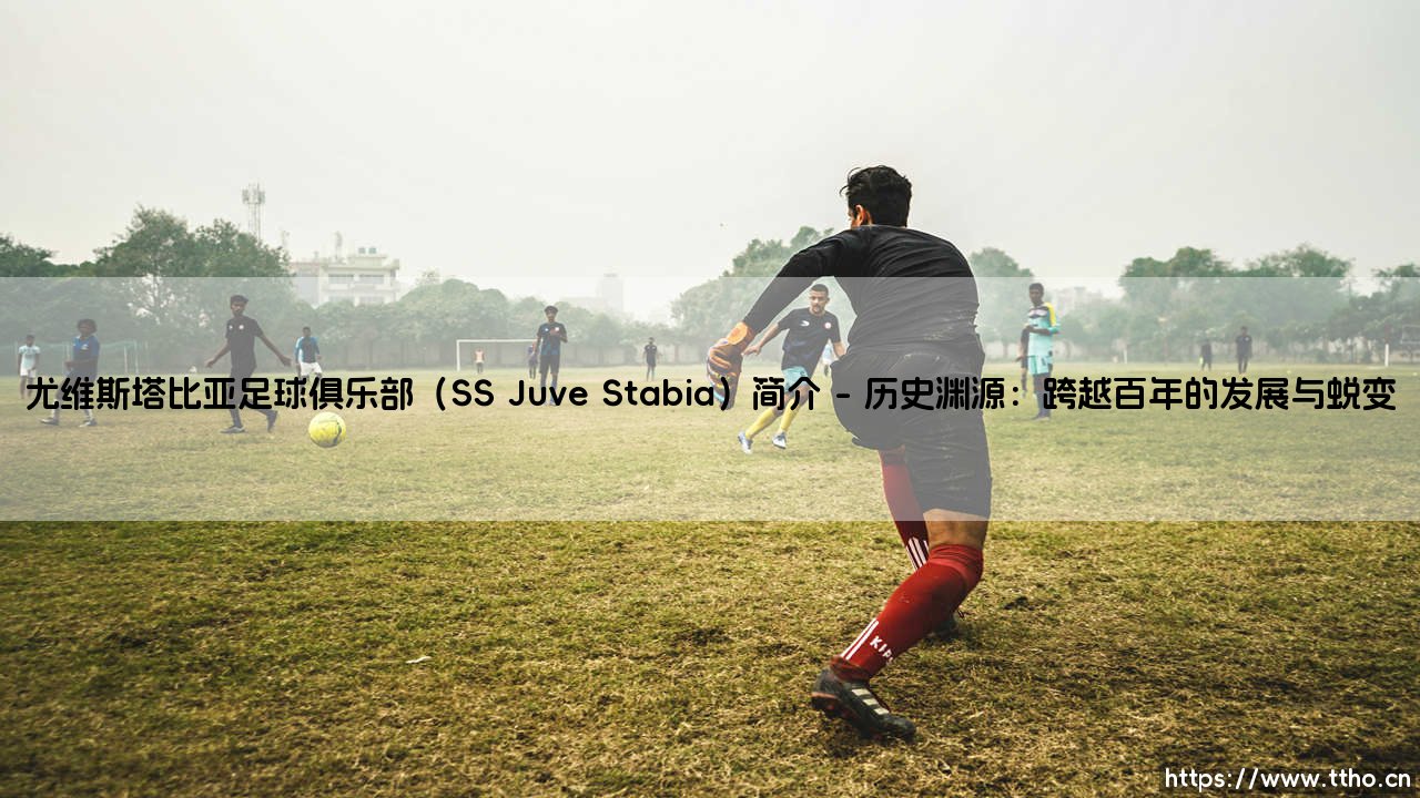 尤维斯塔比亚足球俱乐部(SS Juve Stabia)简介|历史悠久的意大利南方力量-第1张图片-天体号 尤维斯塔比亚足球俱乐部(SS Juve Stabia)简介|历史悠久的意大利南方力量-第1张图片-天体号