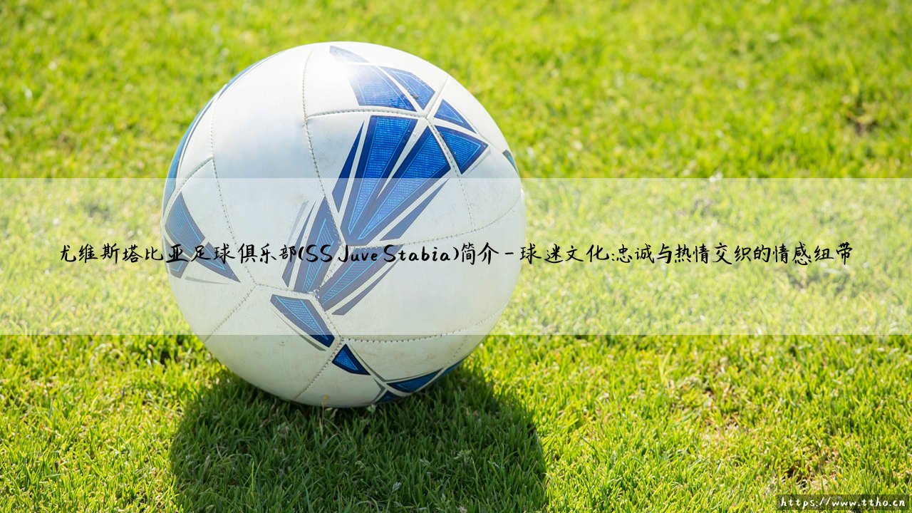 尤维斯塔比亚足球俱乐部(SS Juve Stabia)简介|历史悠久的意大利南方力量-第4张图片-天体号 尤维斯塔比亚足球俱乐部(SS Juve Stabia)简介|历史悠久的意大利南方力量-第4张图片-天体号