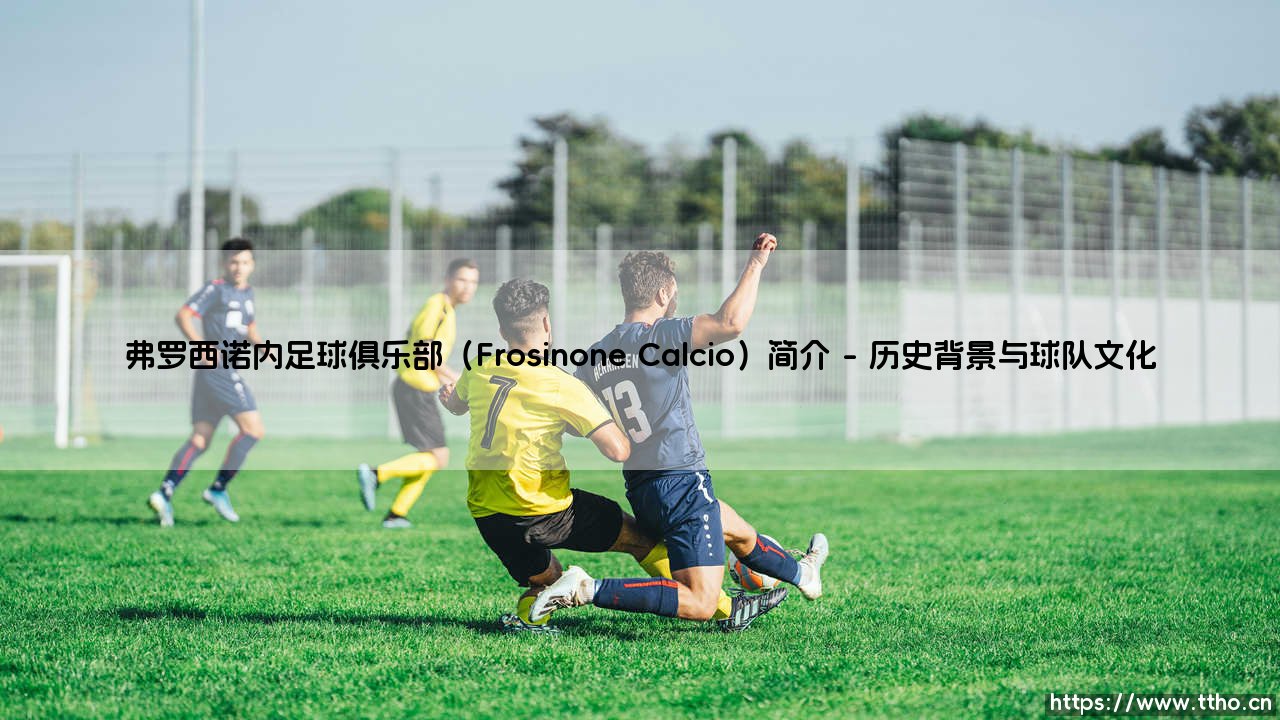 弗罗西诺内足球俱乐部(Frosinone Calcio)简介——东方体育-第1张图片-天体号 弗罗西诺内足球俱乐部(Frosinone Calcio)简介——东方体育-第1张图片-天体号