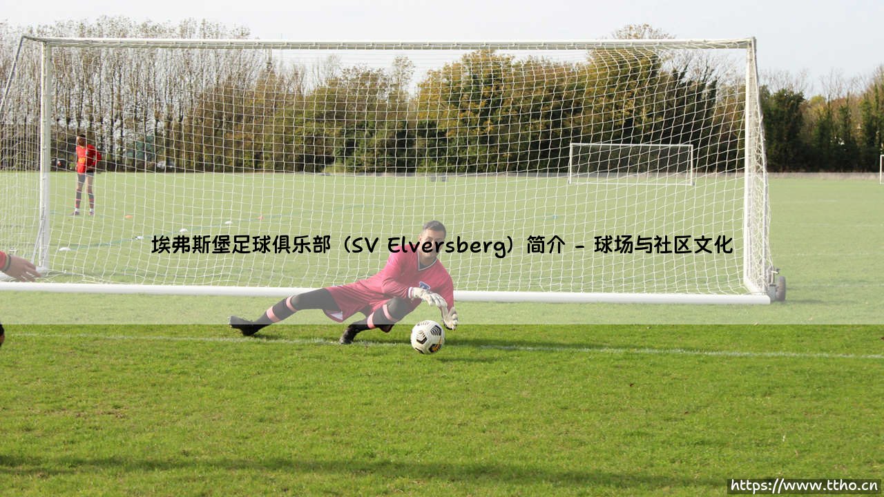 埃弗斯堡足球俱乐部(SV Elversberg)简介——每日足球-第2张图片-天体号 埃弗斯堡足球俱乐部(SV Elversberg)简介——每日足球-第2张图片-天体号