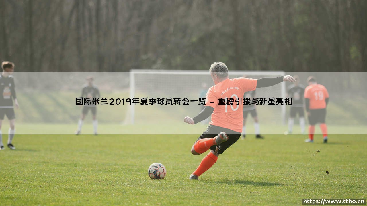 国际米兰2019年夏季球员转会一览——地上足球-第2张图片-天体号 国际米兰2019年夏季球员转会一览——地上足球-第2张图片-天体号