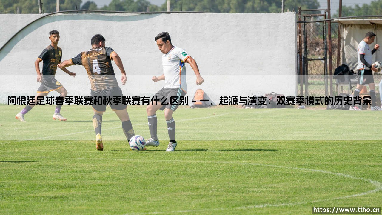 阿根廷足球春季联赛和秋季联赛有什么区别：探析阿甲联赛的双赛季模式-第1张图片-天体号