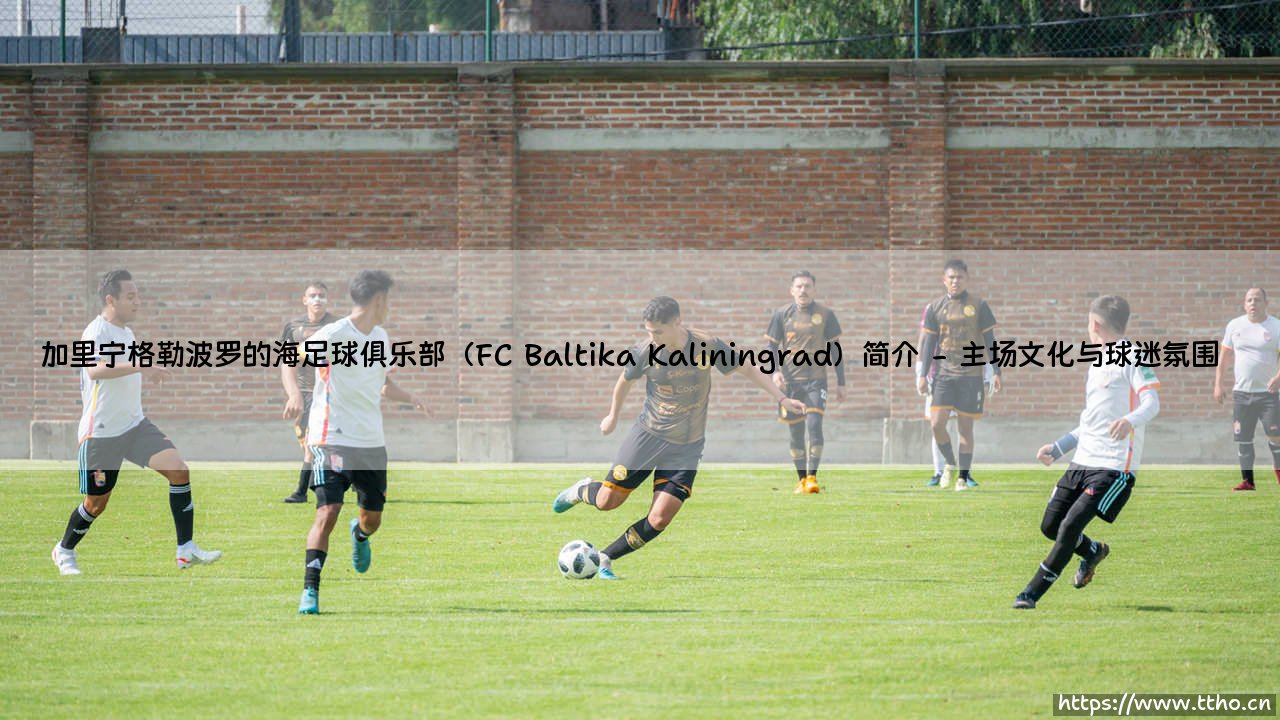 加里宁格勒波罗的海足球俱乐部(FC Baltika Kaliningrad)简介|体坛足球家-第2张图片-天体号 加里宁格勒波罗的海足球俱乐部(FC Baltika Kaliningrad)简介|体坛足球家-第2张图片-天体号