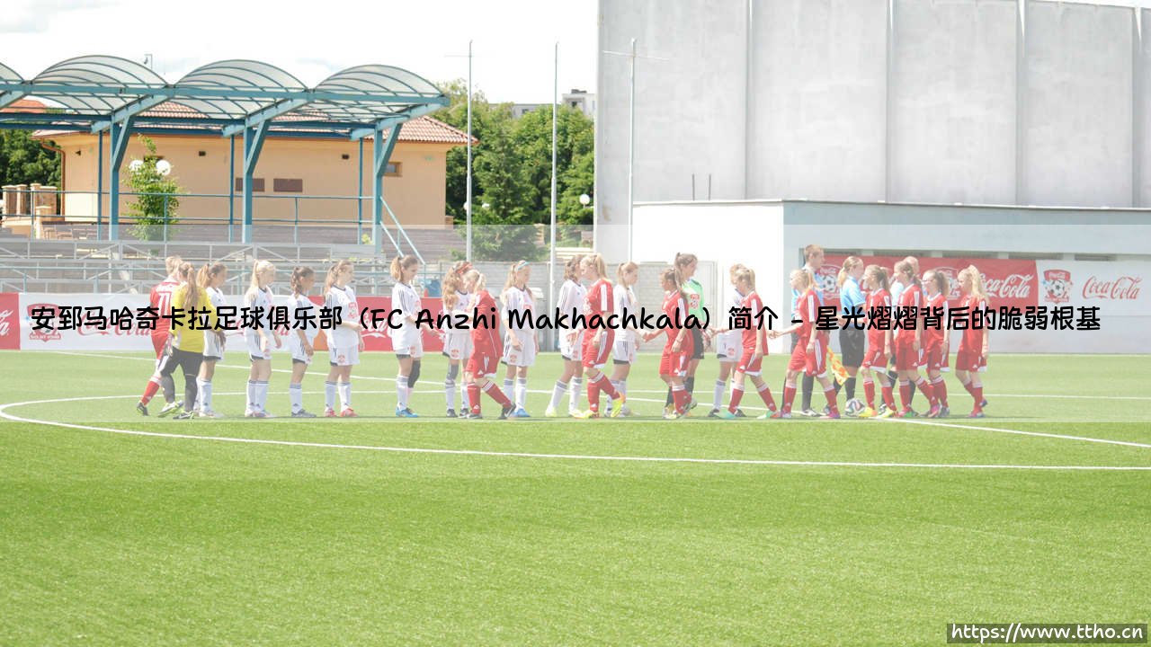安郅马哈奇卡拉足球俱乐部(FC Anzhi Makhachkala)简介——地上足球-第2张图片-天体号 安郅马哈奇卡拉足球俱乐部(FC Anzhi Makhachkala)简介——地上足球-第2张图片-天体号