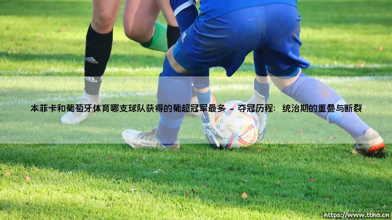 本菲卡和葡萄牙体育哪支球队获得的葡超冠军最多｜本菲卡和葡萄牙体育哪支球队获得的葡超冠军最多-第2张图片-天体号