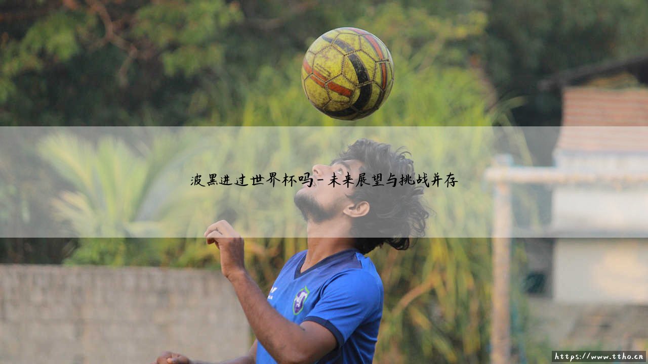 波黑进过世界杯吗?波黑进过世界杯吗?-第4张图片-天体号 波黑进过世界杯吗?波黑进过世界杯吗?-第4张图片-天体号