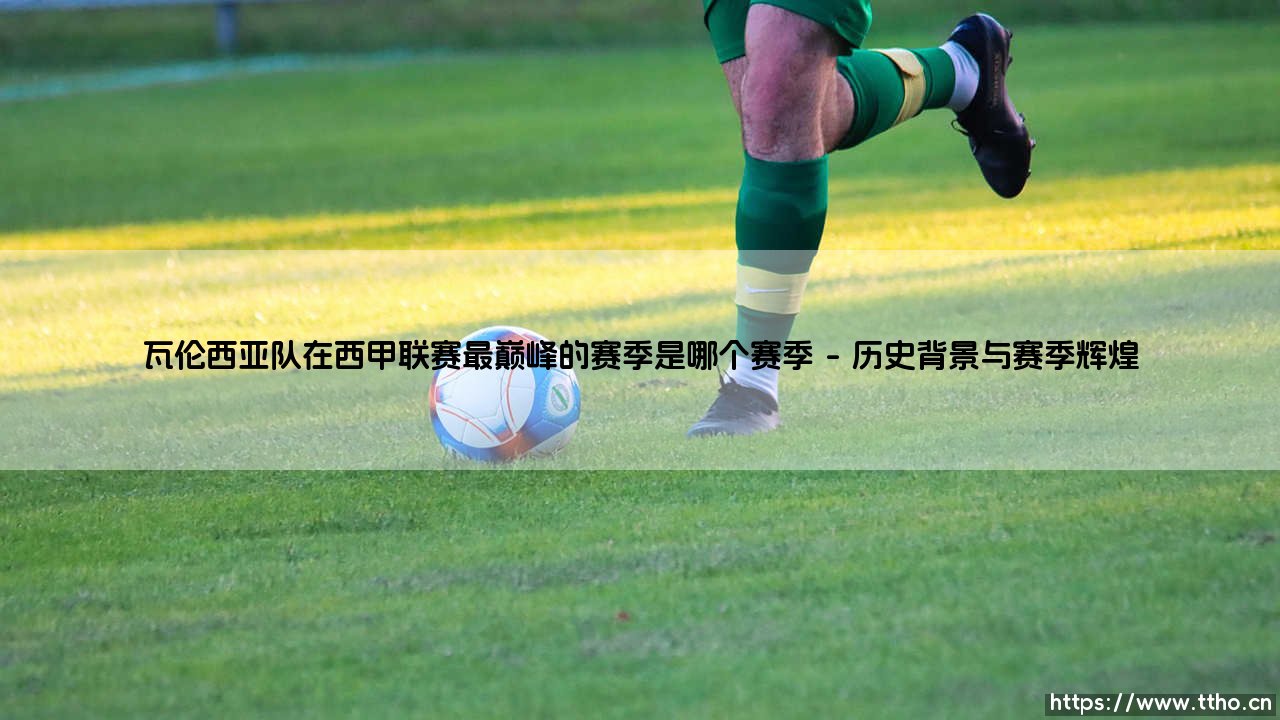 瓦伦西亚队在西甲联赛最巅峰的赛季是哪个赛季？-第1张图片-天体号