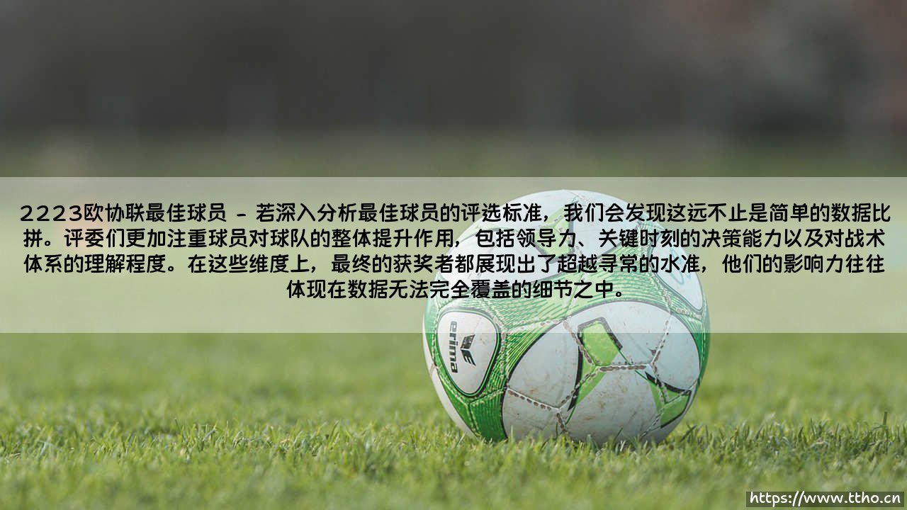2223欧协联最佳球员的加冕之路-第2张图片-天体号