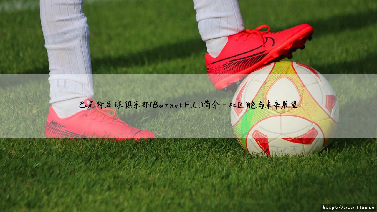巴尼特足球俱乐部：一支怎样的球队？「巴尼特F.C.的传奇与现实」-第4张图片-天体号