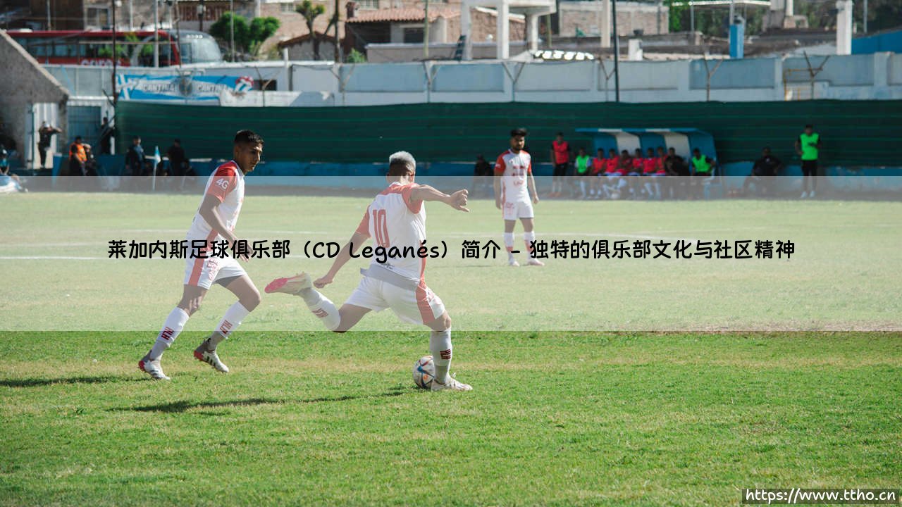 莱加内斯足球俱乐部(CD Leganés)简介-足坛风向标-第2张图片-天体号 莱加内斯足球俱乐部(CD Leganés)简介-足坛风向标-第2张图片-天体号