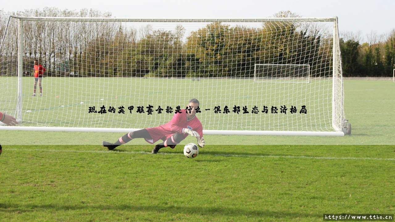探寻现在的英甲联赛全称是什么：英格兰足球联赛甲级的完整解析-第3张图片-天体号