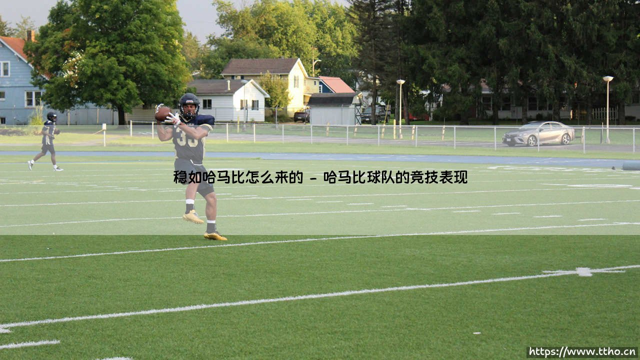 稳如哈马比怎么来的:揭秘稳如哈马比现象的起源与传奇-第2张图片-天体号 稳如哈马比怎么来的:揭秘稳如哈马比现象的起源与传奇-第2张图片-天体号