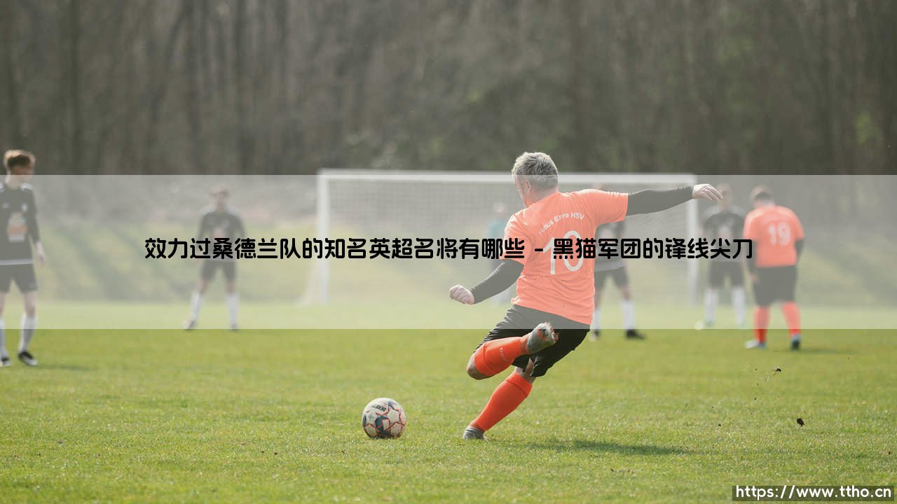 效力过桑德兰队的知名英超名将有哪些|磁儿足球说-第1张图片-天体号 效力过桑德兰队的知名英超名将有哪些|磁儿足球说-第1张图片-天体号