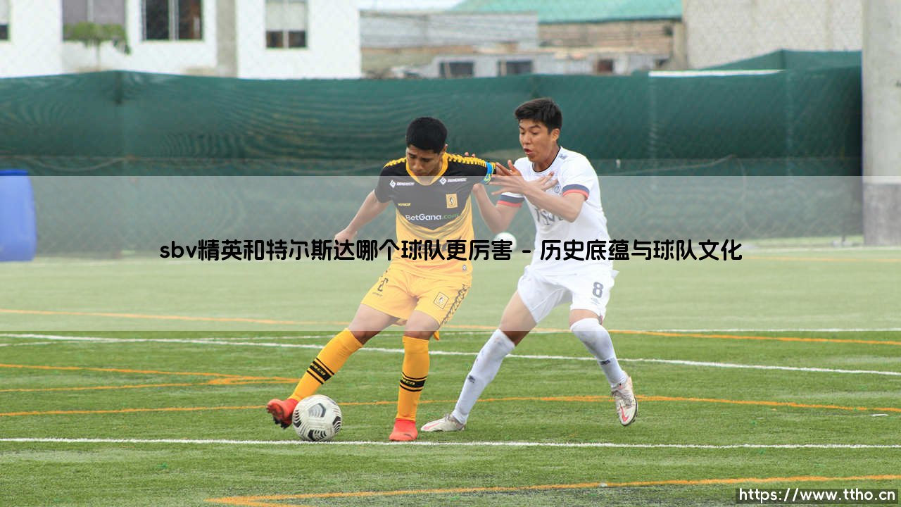 SBV精英和特尔斯达哪个球队更厉害？深度对比：一场荷兰足球的「中坚力量」对决-第1张图片-天体号