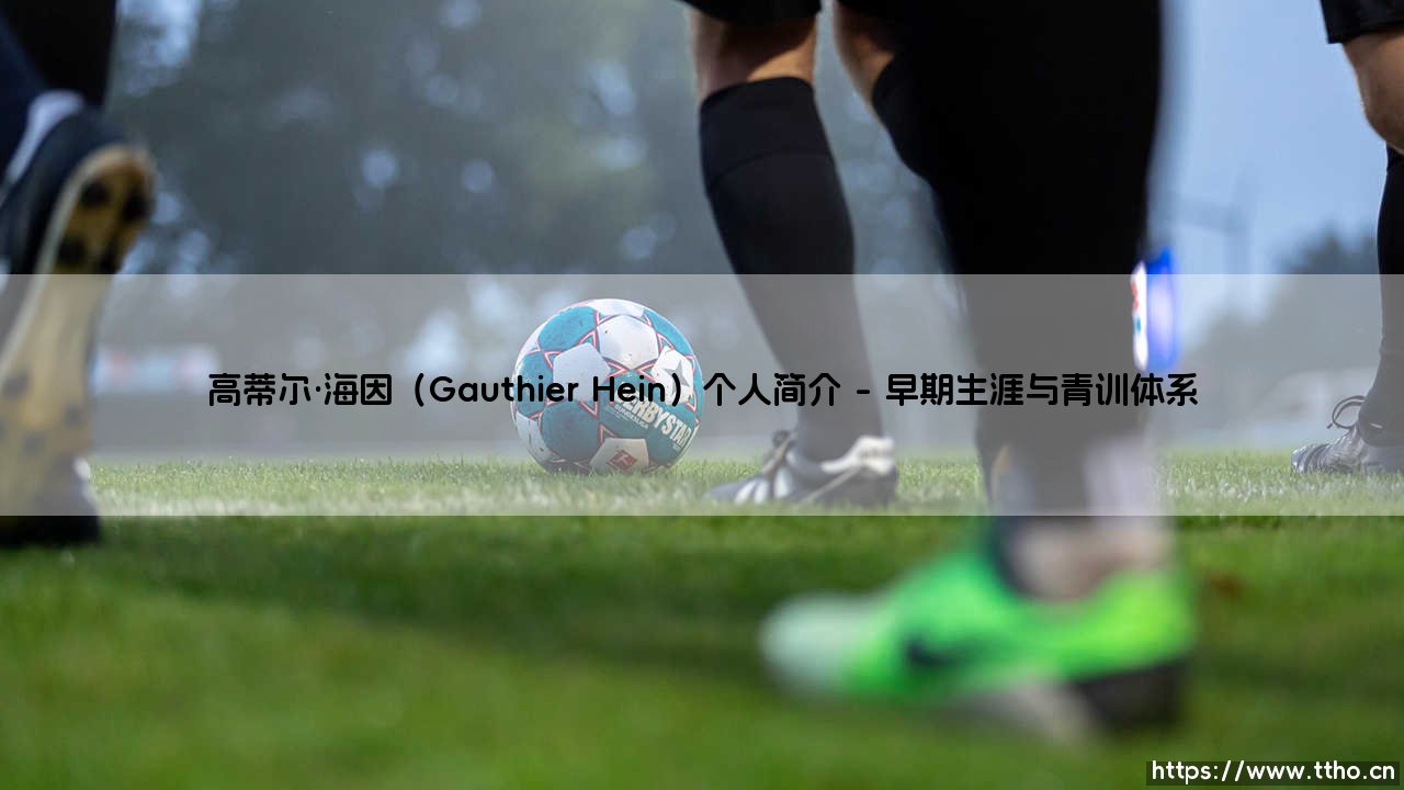 高蒂尔·海因个人简介:高蒂尔·海因的职业生涯与足球传奇-第1张图片-天体号 高蒂尔·海因个人简介:高蒂尔·海因的职业生涯与足球传奇-第1张图片-天体号