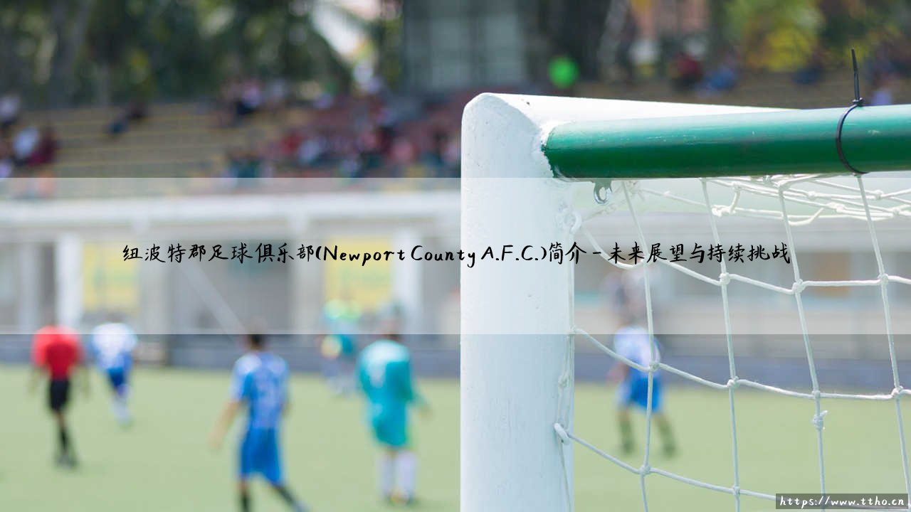 纽波特郡足球俱乐部:一支来自威尔士的足坛斗士,你了解多少?- 探索「纽波特郡A.F.C.」的传奇故事-第4张图片-天体号 纽波特郡足球俱乐部:一支来自威尔士的足坛斗士,你了解多少?- 探索「纽波特郡A.F.C.」的传奇故事-第4张图片-天体号