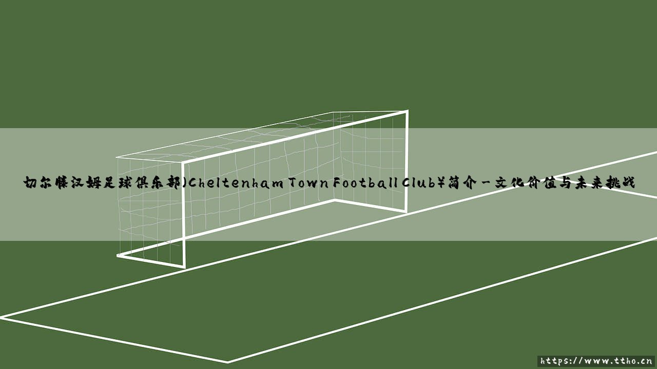 切尔滕汉姆足球俱乐部(Cheltenham Town Football Club)简介|球门之间-第3张图片-天体号 切尔滕汉姆足球俱乐部(Cheltenham Town Football Club)简介|球门之间-第3张图片-天体号
