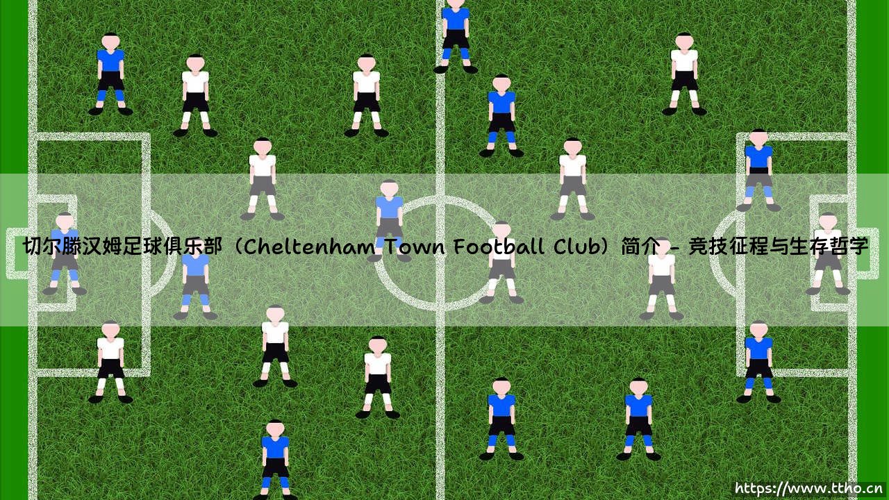 切尔滕汉姆足球俱乐部(Cheltenham Town Football Club)简介|球门之间-第2张图片-天体号 切尔滕汉姆足球俱乐部(Cheltenham Town Football Club)简介|球门之间-第2张图片-天体号