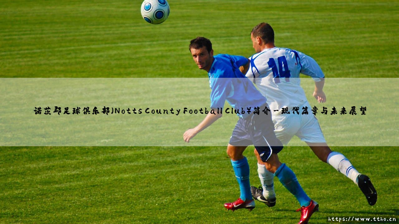 诺茨郡足球俱乐部(Notts County Football Club)简介-足坛风向标-第3张图片-天体号 诺茨郡足球俱乐部(Notts County Football Club)简介-足坛风向标-第3张图片-天体号