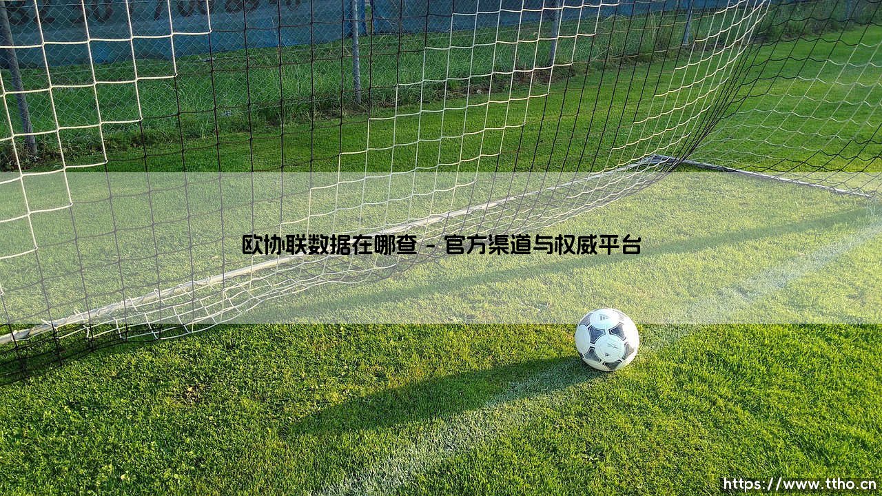 欧协联数据在哪查:全方位指南带你轻松获取赛事信息-第1张图片-天体号 欧协联数据在哪查:全方位指南带你轻松获取赛事信息-第1张图片-天体号