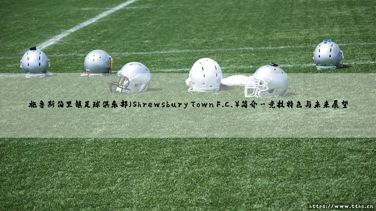 施鲁斯伯里镇足球俱乐部简介-第3张图片-天体号 施鲁斯伯里镇足球俱乐部简介-第3张图片-天体号