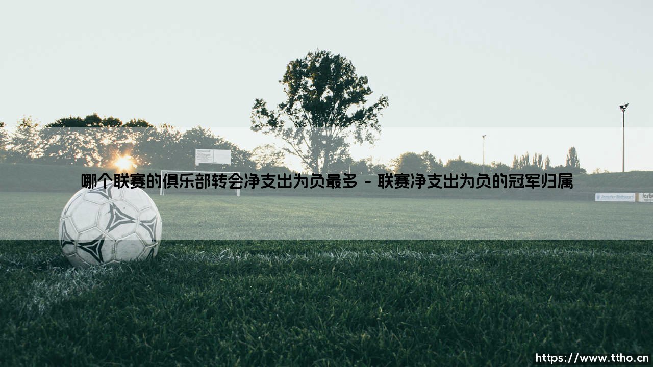 哪个联赛的俱乐部转会净支出为负最多「足球情报站」-第1张图片-天体号