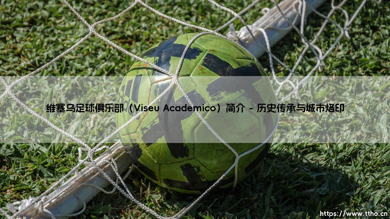 维塞乌足球俱乐部简介-第1张图片-天体号