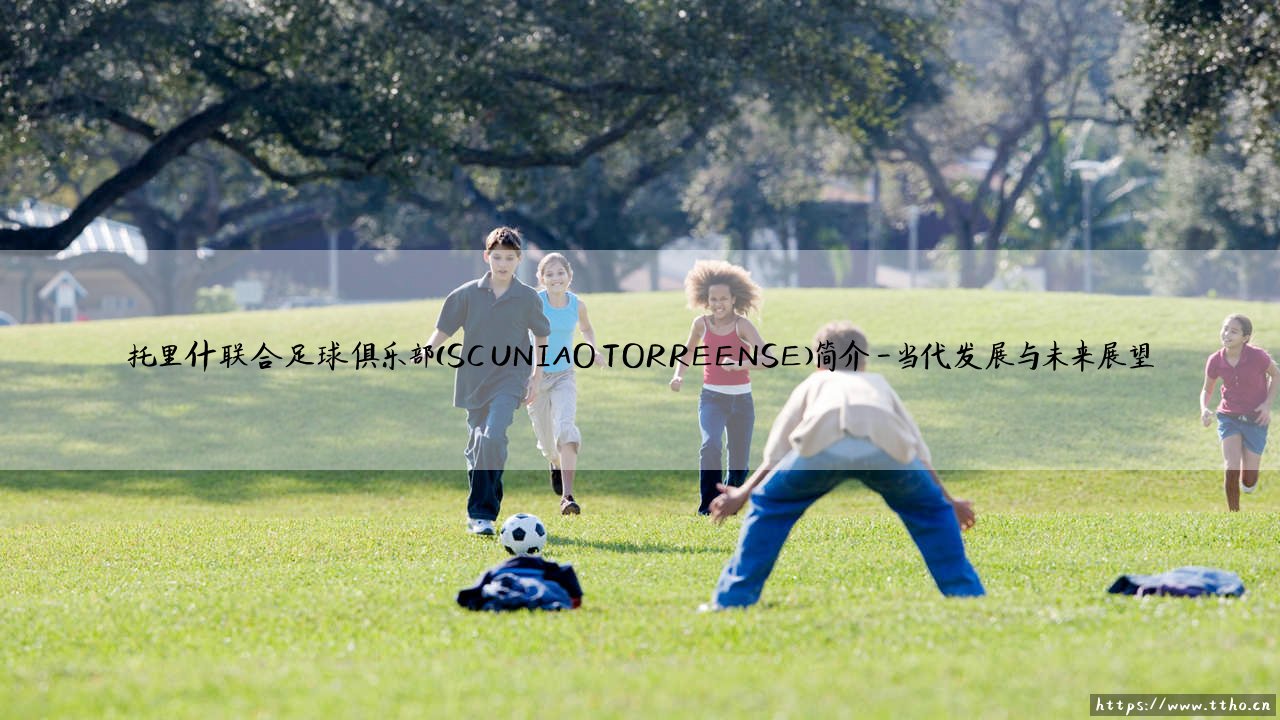 托里什联合足球俱乐部:一支葡式足球的传奇,你了解多少?「SC UNIAO TORREENSE的故事」-第4张图片-天体号 托里什联合足球俱乐部:一支葡式足球的传奇,你了解多少?「SC UNIAO TORREENSE的故事」-第4张图片-天体号