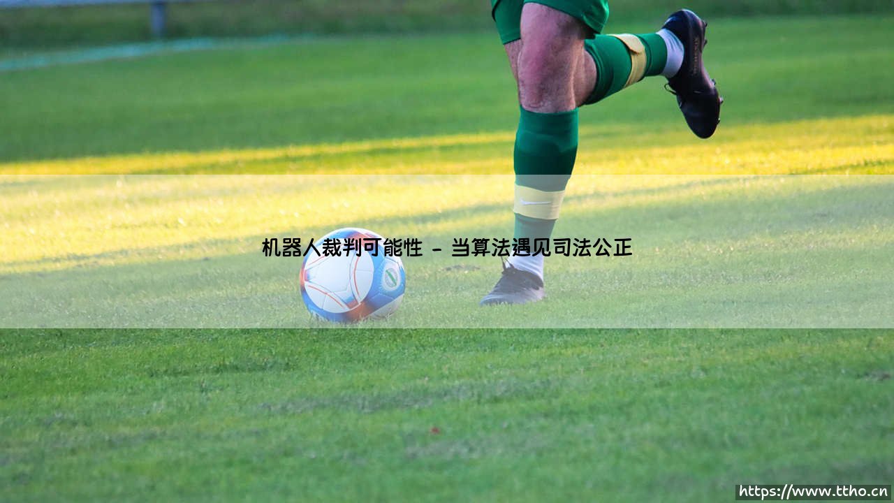 机器人裁判:未来法庭的可能?「公正的算法审判官」-第2张图片-天体号 机器人裁判:未来法庭的可能?「公正的算法审判官」-第2张图片-天体号