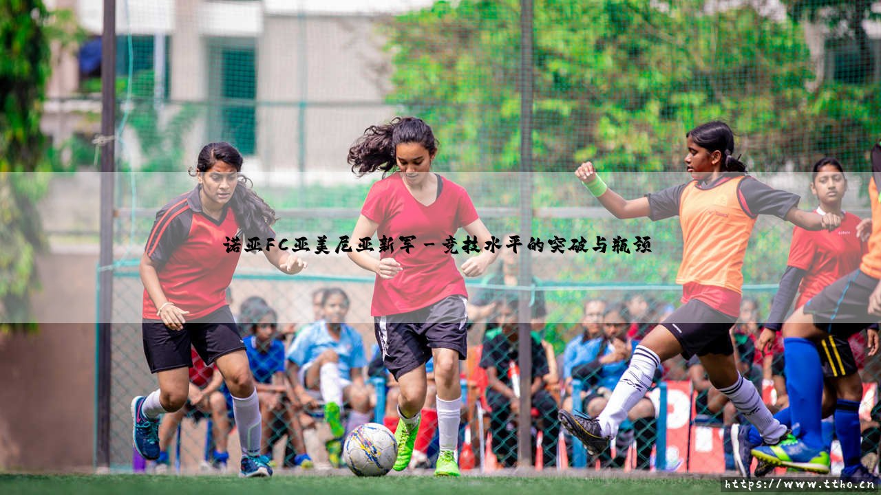 诺亚FC亚美尼亚新军：诺亚FC亚美尼亚新军的崛起与挑战-第3张图片-天体号