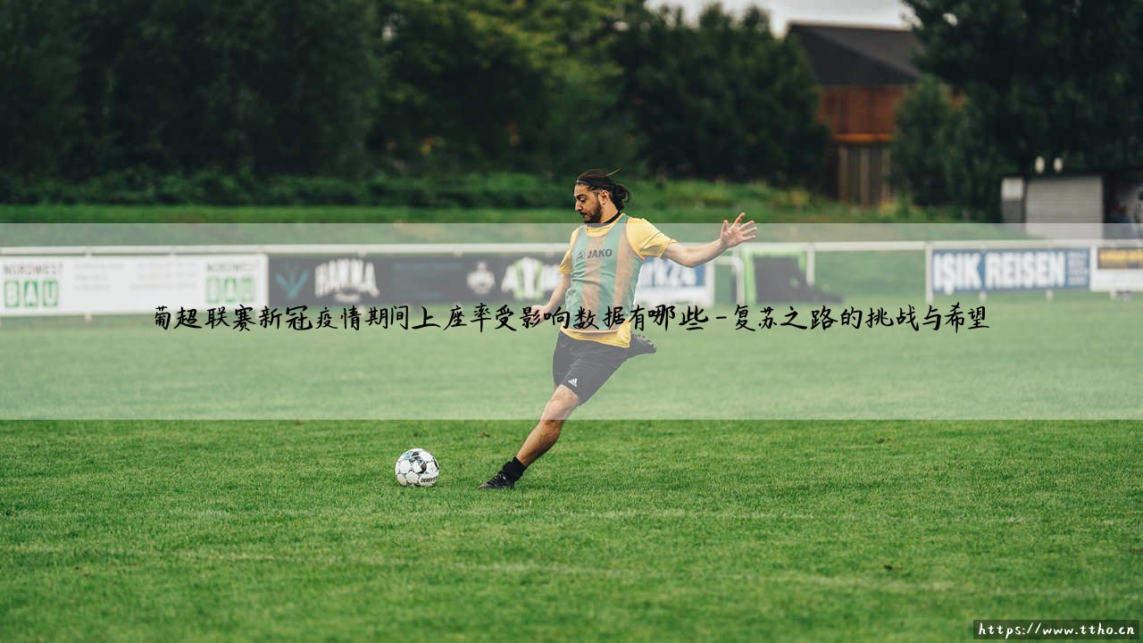 葡超联赛上座率如何?新冠疫情带来哪些冲击:数据深度解析「球迷空场与回归之路」-第4张图片-天体号 葡超联赛上座率如何?新冠疫情带来哪些冲击:数据深度解析「球迷空场与回归之路」-第4张图片-天体号