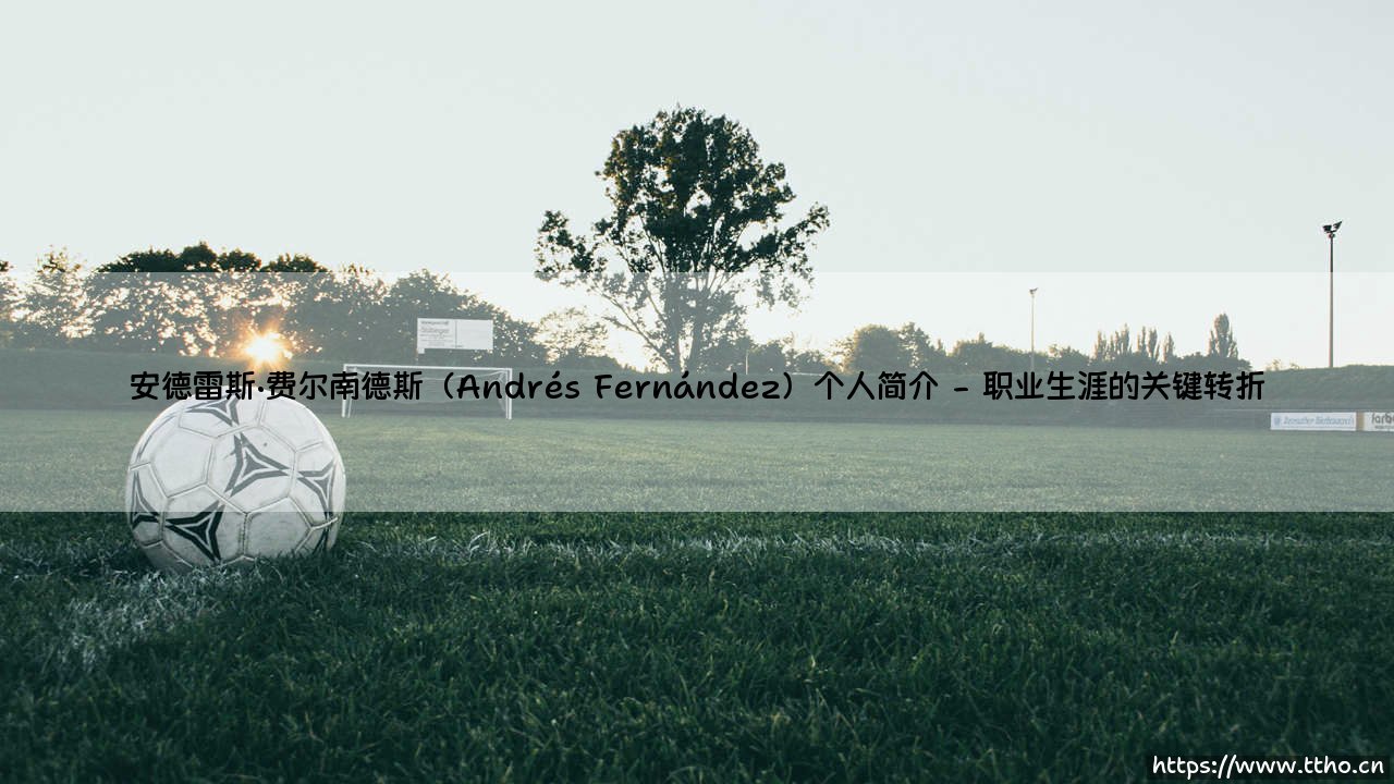 安德雷斯·费尔南德斯:一位门将的职业生涯与人生抉择-第2张图片-天体号 安德雷斯·费尔南德斯:一位门将的职业生涯与人生抉择-第2张图片-天体号