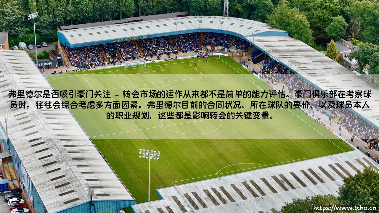 弗里德尔是否吸引豪门关注【足球之家】-第2张图片-天体号 弗里德尔是否吸引豪门关注【足球之家】-第2张图片-天体号
