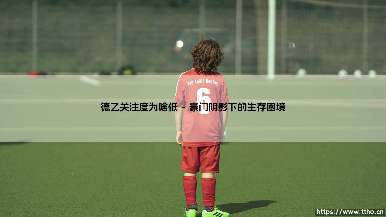 德乙关注度为啥低:探寻德国足球次级联赛的尴尬处境-第1张图片-天体号 德乙关注度为啥低:探寻德国足球次级联赛的尴尬处境-第1张图片-天体号