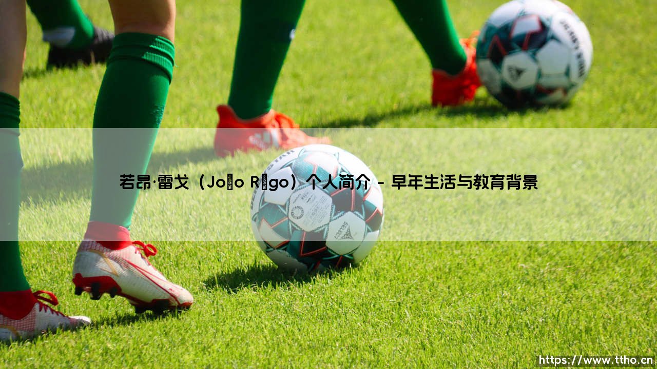 若昂·雷戈个人简介-第1张图片-天体号 若昂·雷戈个人简介-第1张图片-天体号