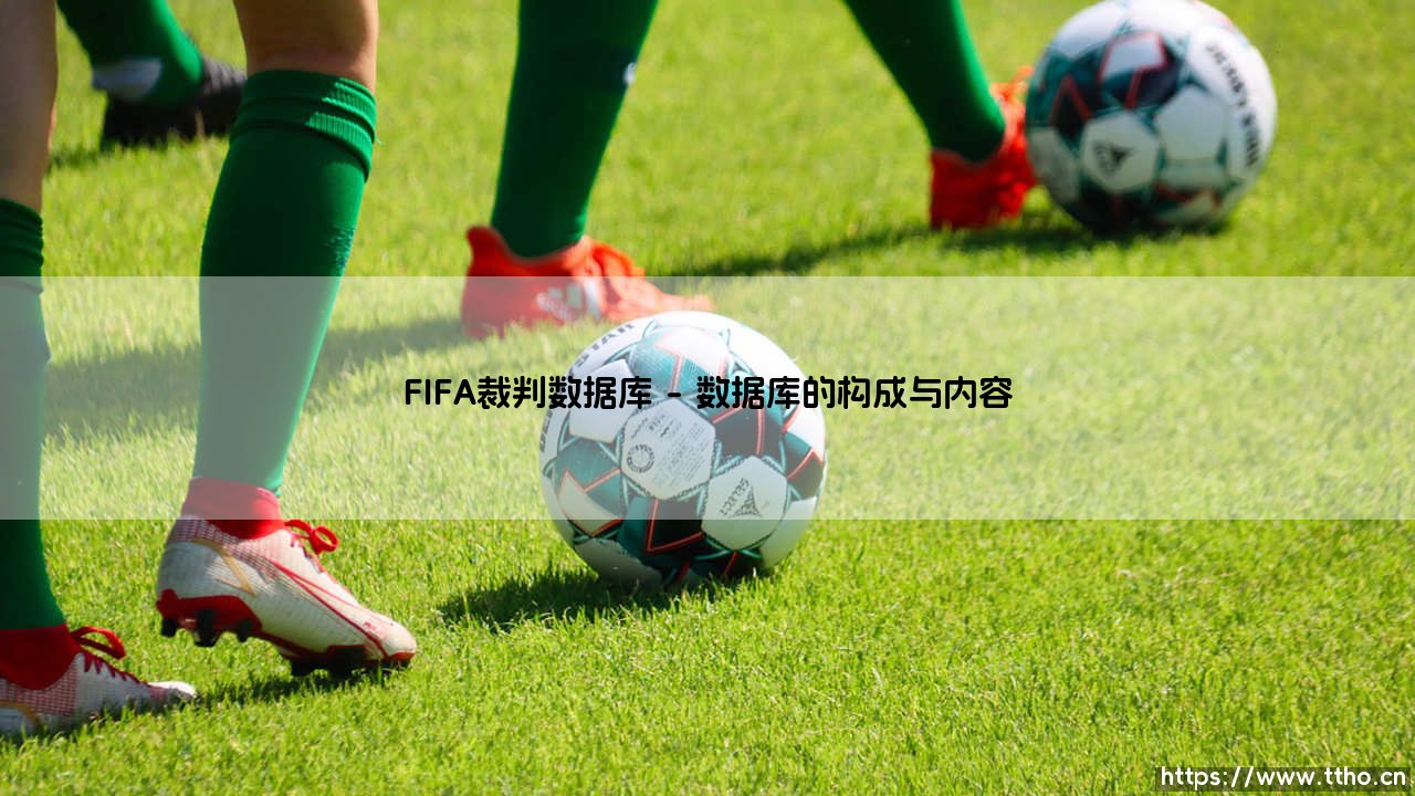 深入探索FIFA裁判数据库-第1张图片-天体号