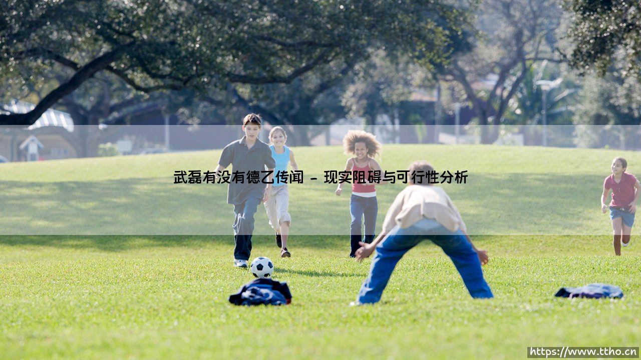 武磊是否有过德乙联赛的传闻？-第2张图片-天体号