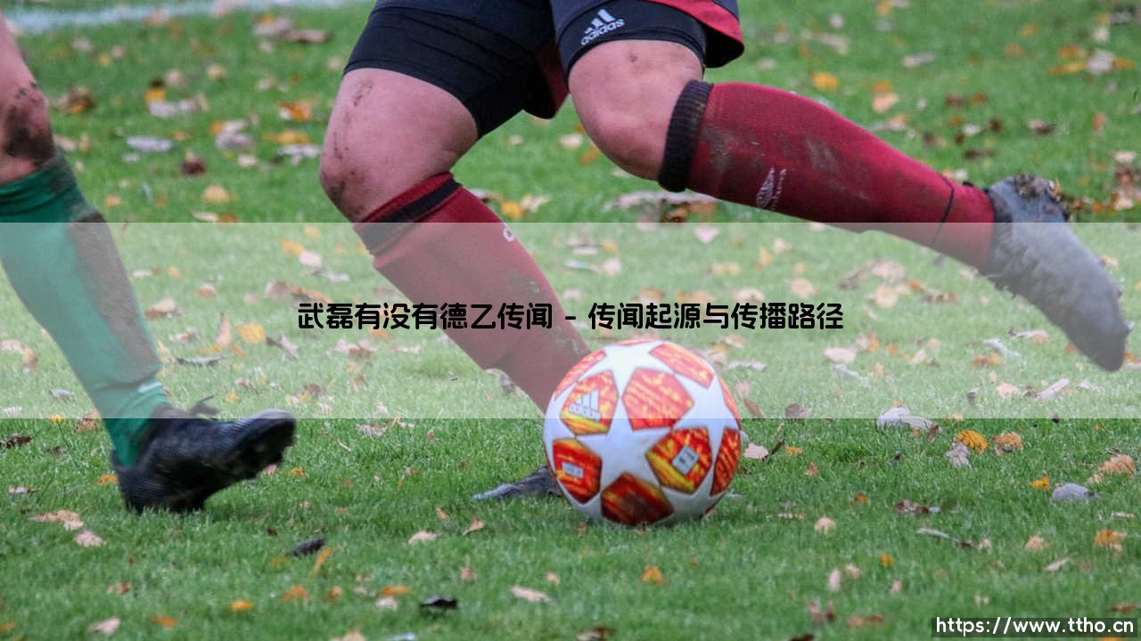 武磊是否有过德乙联赛的传闻？-第1张图片-天体号