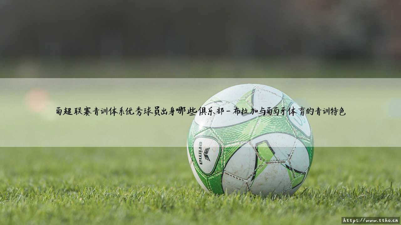 葡超青训:哪些俱乐部是球星工厂?揭秘葡萄牙的人才摇篮-第4张图片-天体号 葡超青训:哪些俱乐部是球星工厂?揭秘葡萄牙的人才摇篮-第4张图片-天体号