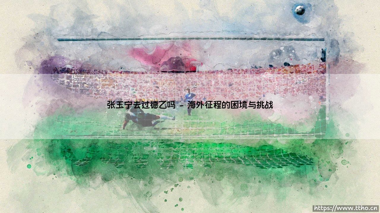 张玉宁在德乙的绿茵岁月探秘-第2张图片-天体号