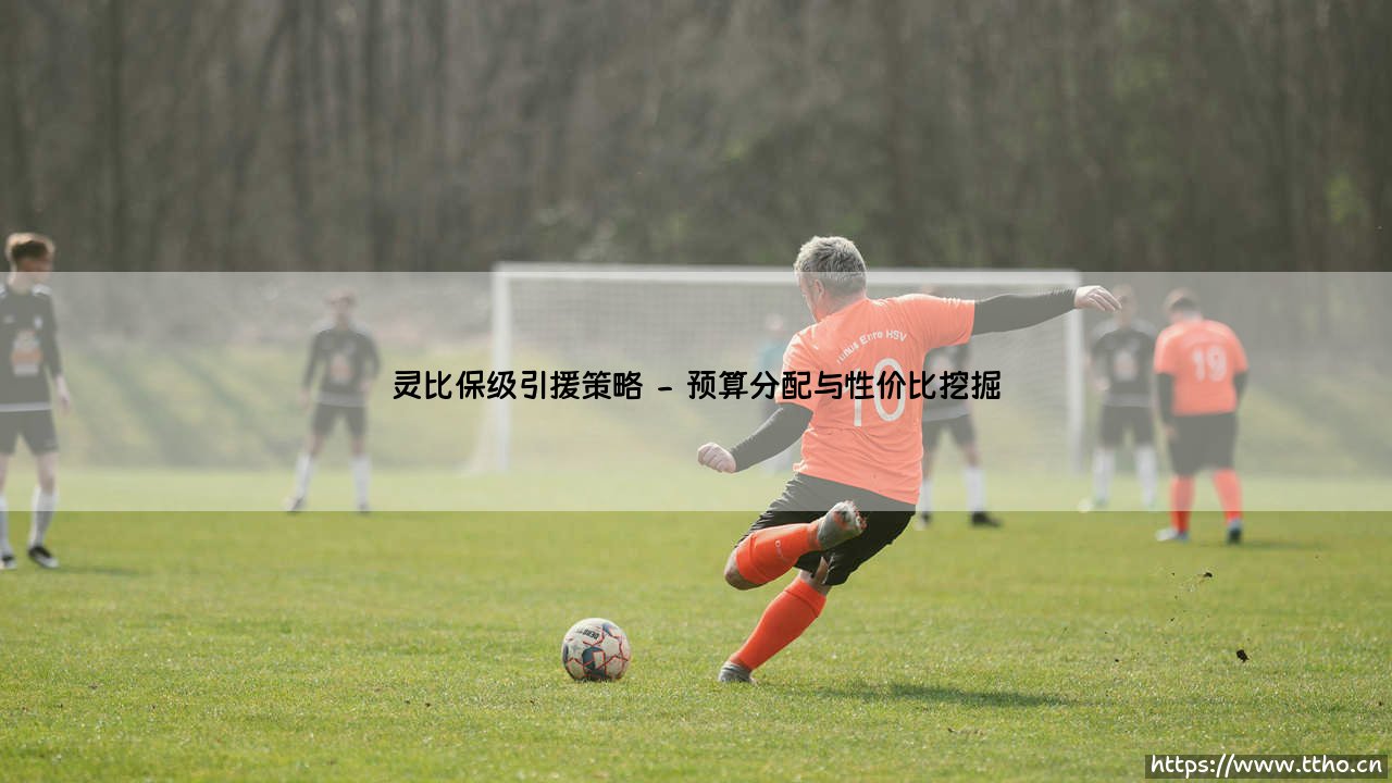 灵比保级引援策略:如何用精准引援锁定保级席位?「灵比保级引援策略」深度解析-第2张图片-天体号 灵比保级引援策略:如何用精准引援锁定保级席位?「灵比保级引援策略」深度解析-第2张图片-天体号